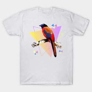 Rainforest Birds Series_07 T-Shirt